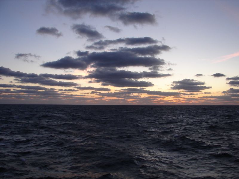 Фото oceanolog.ru