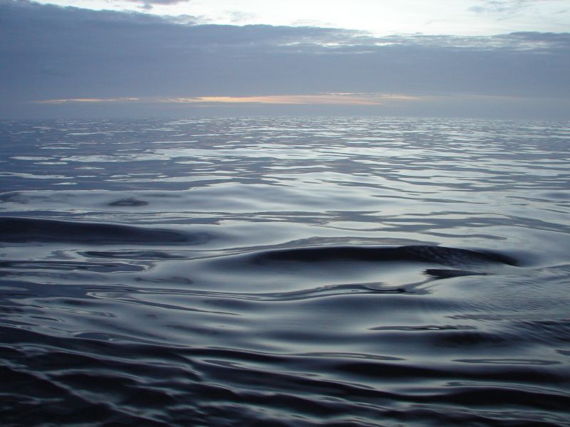 Южная Атлантика. Фото oceanolog.ru